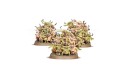 Thumbnail of age-of-sigmar---maggotkin-of-nurgle---nurglings_657690.jpg