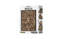 Thumbnail of citadel-skulls_638876.jpg