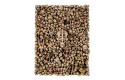 Thumbnail of citadel-skulls_690224.jpg